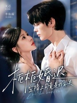 栀栀婚迟，空降上司竟是我前夫